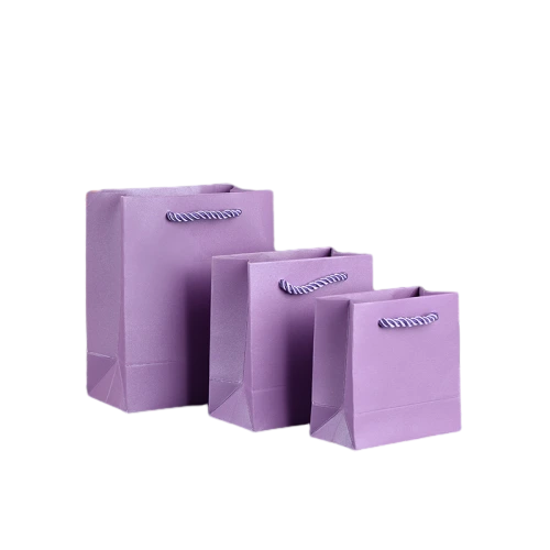 Special Craft Paper Bags - Matching Twisted Paper Rope Matte Solid Color Tote Packaging For Apparel Cosmetic Store Wholesale