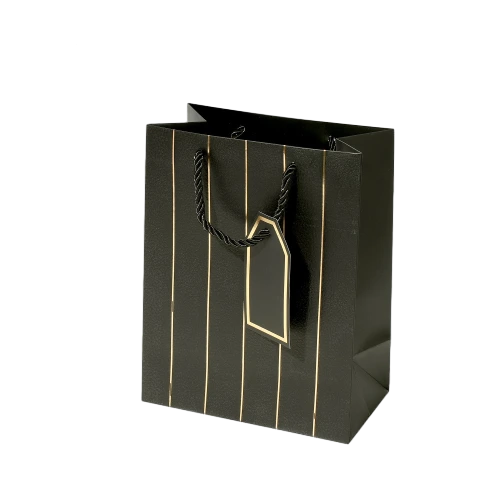 Special Craft Paper Bags - Vertical Gold Foil Line Twisted Paper Rope Gift Tote Packaging For Cosmetic Jewelry Boutique Wholesale