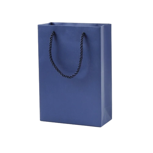 Special Craft Paper Bags - Solid Matte Plain Twisted Paper Rope Gift Tote Packaging For Cosmetic Jewelry Boutique Wholesale