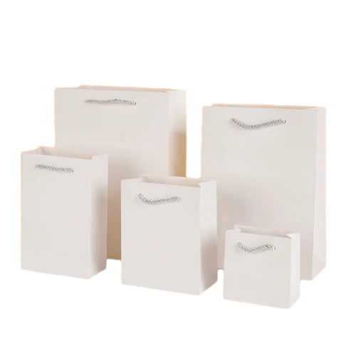 Special Craft Paper Bags - Matching Twisted Paper Rope Matte Solid Color Tote Packaging For Apparel Cosmetic Store Wholesale