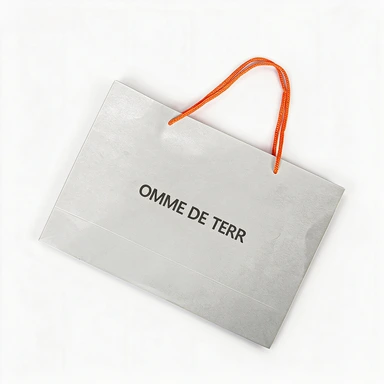 Coated Art Paper Bags-With Orange Twisted Paper Rope Handles, Silver Metallic Custom Logo Brand Shopping Bags
