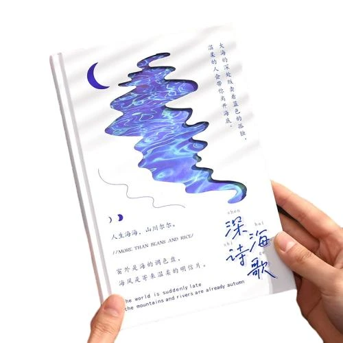 These artistic hardcover notebooks feature exquisite hollow out covers with deep sea moon wave patterns, presenting a unique poetic literary aesthetic with classic blue and white color options. Made with thick premium inner paper that guarantees smooth ink flow and prevents bleedthrough, they are perfectly suited for daily journaling, creative writing, class note taking and office work recording. The delicate artistic design makes them an ideal creative stationery gift for literature lovers, students and office staff, fitting well for personal use, boutique retail and bulk wholesale procurement.