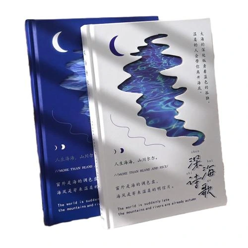 These artistic hardcover notebooks feature exquisite hollow out covers with deep sea moon wave patterns, presenting a unique poetic literary aesthetic with classic blue and white color options. Made with thick premium inner paper that guarantees smooth ink flow and prevents bleedthrough, they are perfectly suited for daily journaling, creative writing, class note taking and office work recording. The delicate artistic design makes them an ideal creative stationery gift for literature lovers, students and office staff, fitting well for personal use, boutique retail and bulk wholesale procurement.